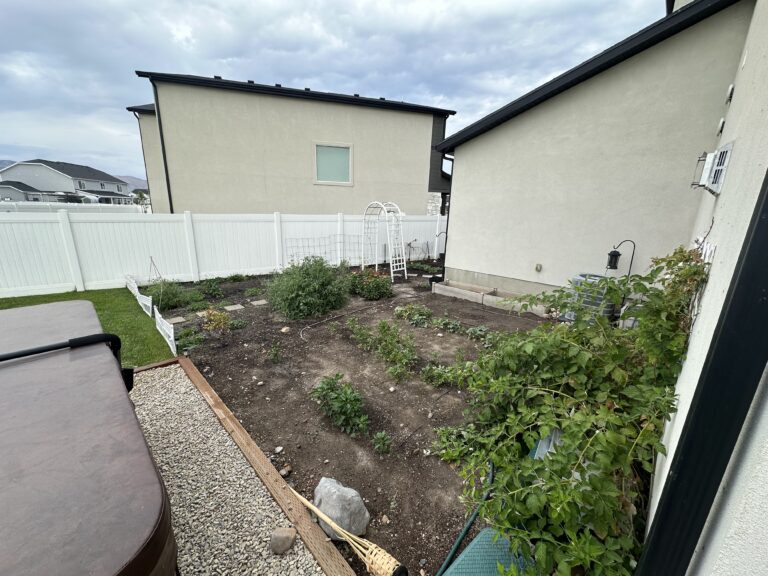 What’s in My Garden? A Look at What I’m Growing in 2026