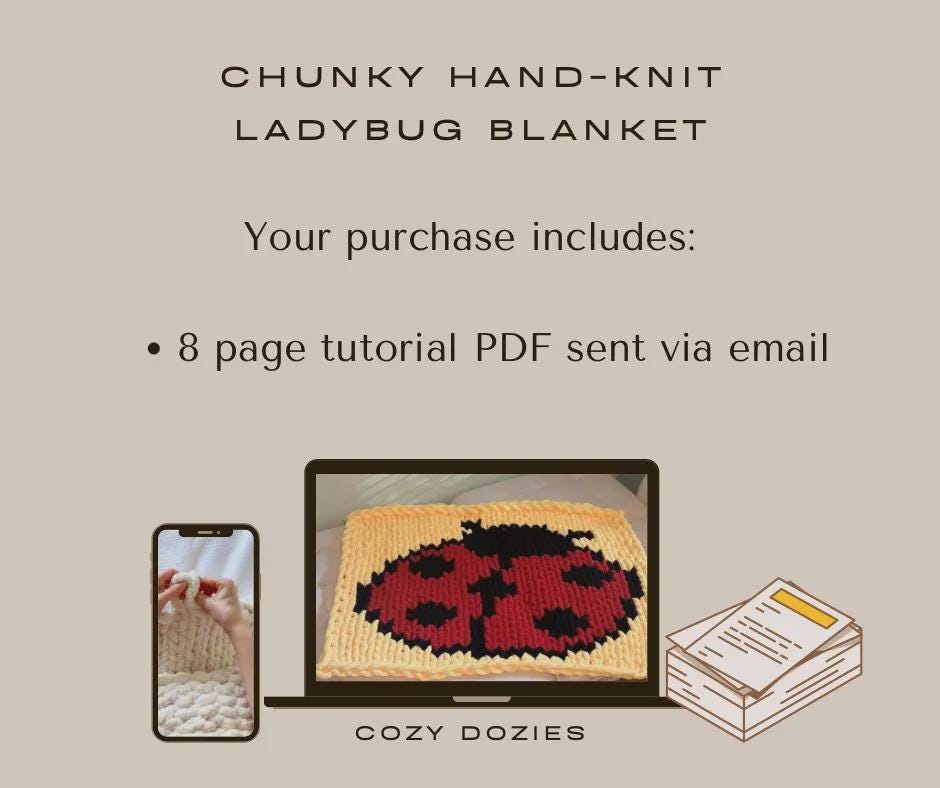 Ladybug Blanket Pattern - Chunky Hand Knitting - Image 2