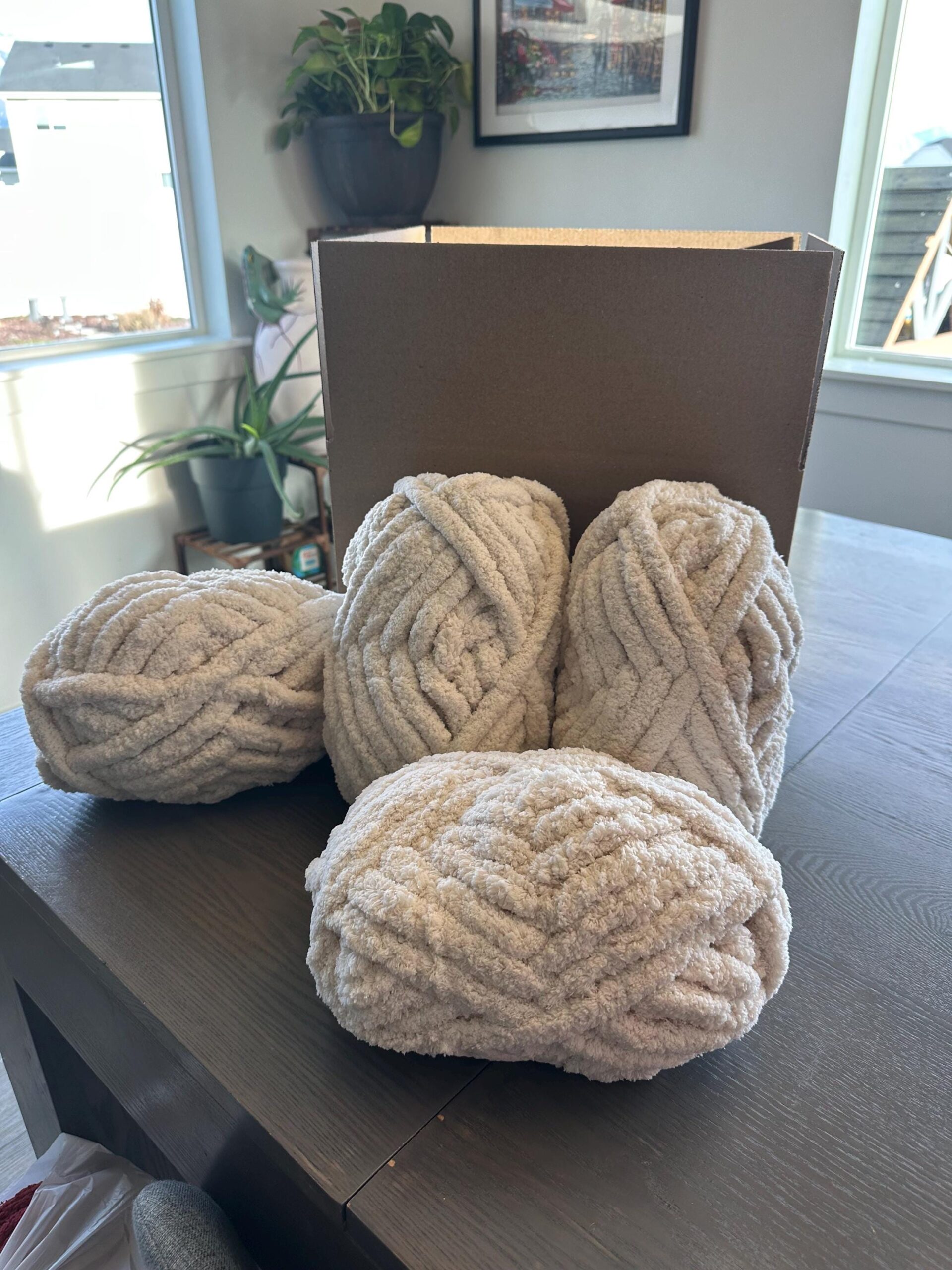 Full-Size Blanket Chunky Hand Knit Kit - Image 4